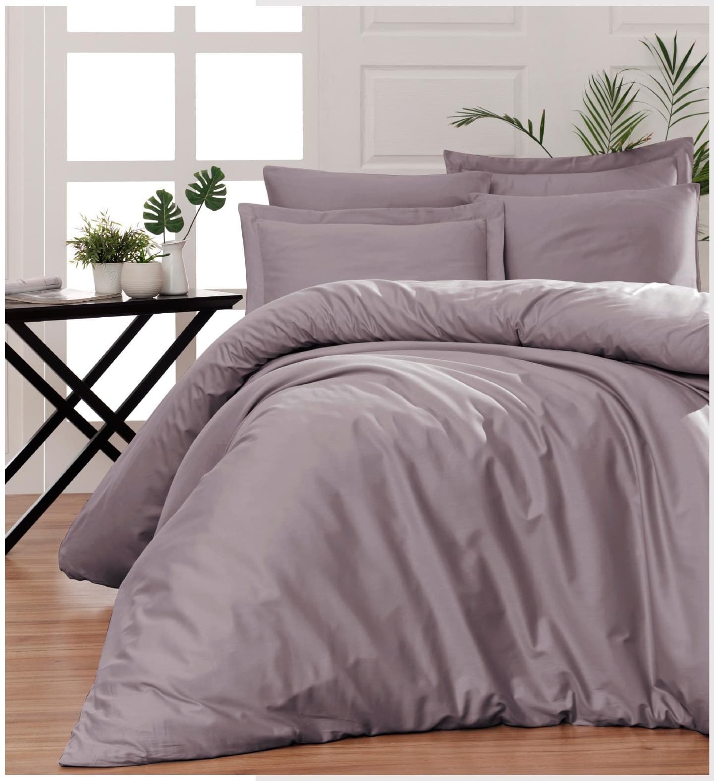 SNAZZY S427 · Lavender